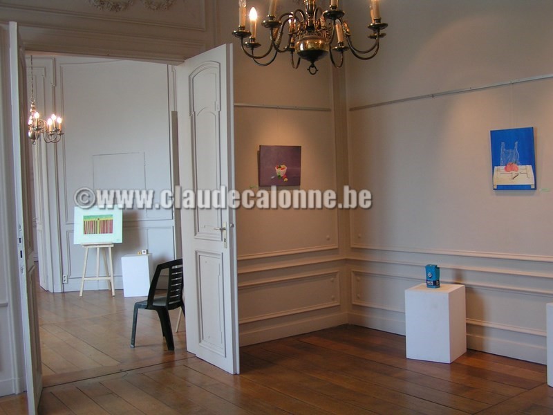 château de Bourgogne, Estaimbourg, exposition, claude calonne,  Estaimbourg, Belgique,