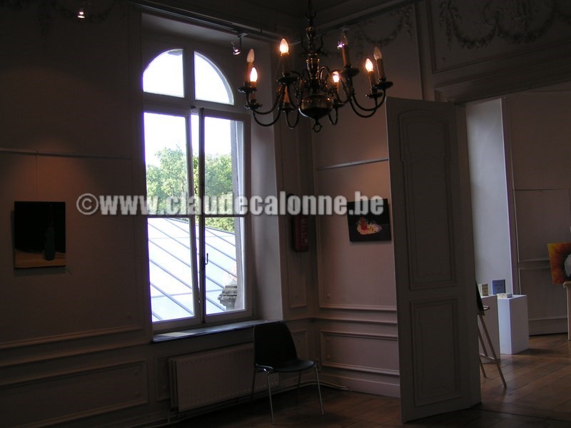 Château de Bourgogne, exposition, Claude CALONNE,  Estaimbourg, Belgique,